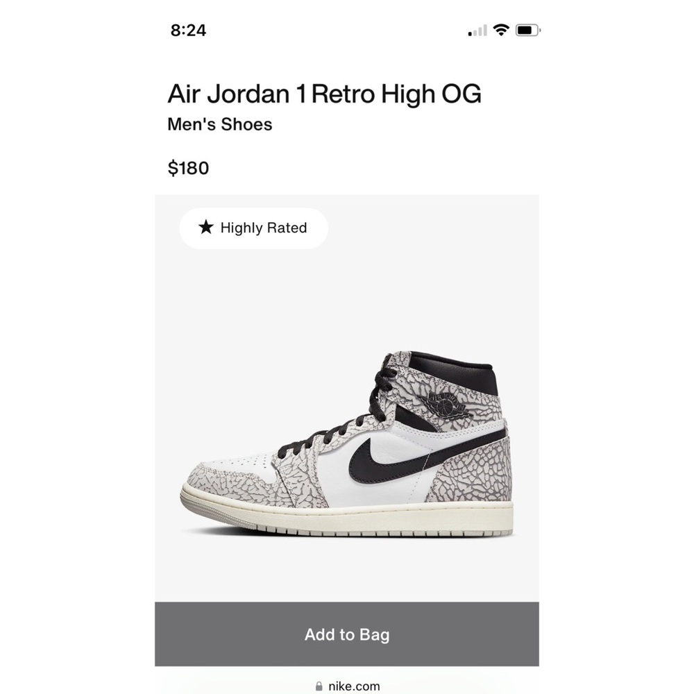 NIKE Air Jordan 1 Retro High OG size 10.5